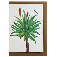 Growing Paper Aloe Greeting Card